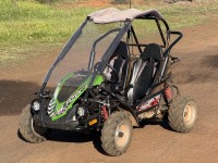 Trailmaster Crossfire Blazer Go-Kart